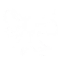 Bow
