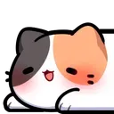 cat_1
