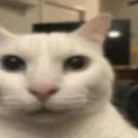 1000052836