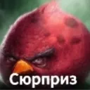 1000052834