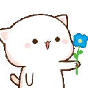 peachflower
