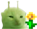 glorpFlower glorpFlower