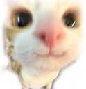 33 33