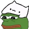 bongopepe