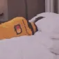 h_oscargoodnight