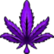 purple_weed