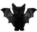 003_black_batcat