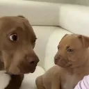 shocked1