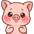 BlushPiggy