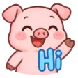 HiPiggy