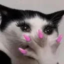 omgoif