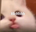 :emoji_23: