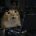 A cat with a slack-jawed expression stares intensely at a computer screen in a dark room.