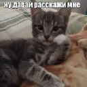 1_