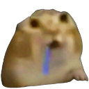 :Y_Cat_Drool: