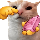 :Y_Cat_Soap: