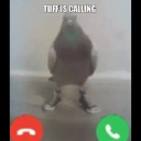 :Screenshot20260708182004: