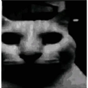 :darkhogya_b2f: