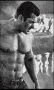 salman