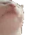 <a:Partycat:1524472545410285812>