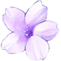 purple_flower2