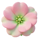 bloom_pinkgreenflower