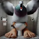 bird_toitoi