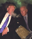 Donald Trump and Joe Biden sitting together while exhaling a cloud of smoke.