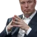 elonboss