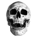 black_skull