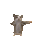 excited animated GIF emoji - /Lightx | Social • Chat • VC • Emotes • Chill • Fun • Active