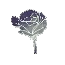 flowerbloom_sweets