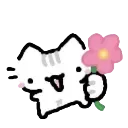 flowercat