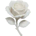 whiterose