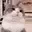 CatPoke