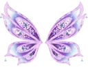 purplebutterfly