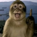 :emoji_28: