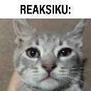 :reaksiku: