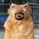 A dog wearing a black hat, round glasses, and a goatee, resembling Walter White.