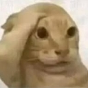 :emoji_31: