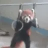 swole