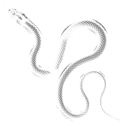 :Snake: