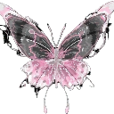 :Butterfly:
