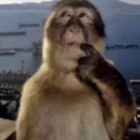 Thinkmonkey