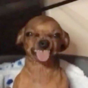 :download5: