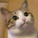 :iecatuh: