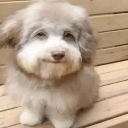 emoji_188 Discord emoji