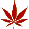 rbweed