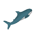 blahajspin