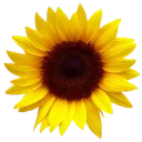 emoji_99